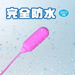 SSI Japan 完全防水 Type-R mini 震蛋-粉紫