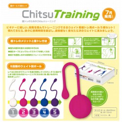 KMP 陰道訓練-Chitsu Training