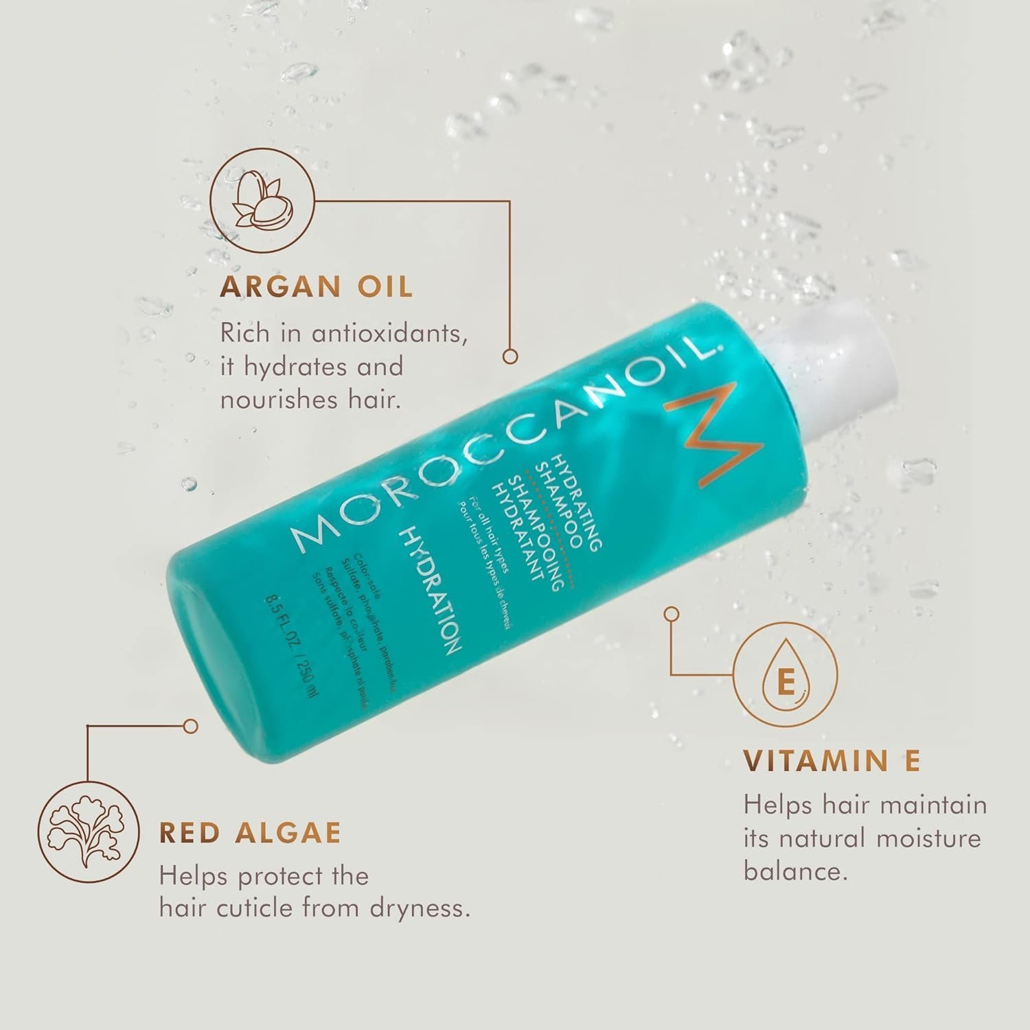 Moroccanoil Hydration Shampoo - 图片 2